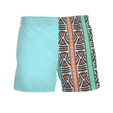 Mens Blue Swim Trunks