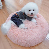 Pet Dog Cat Bed