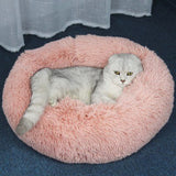 Pet Dog Cat Bed